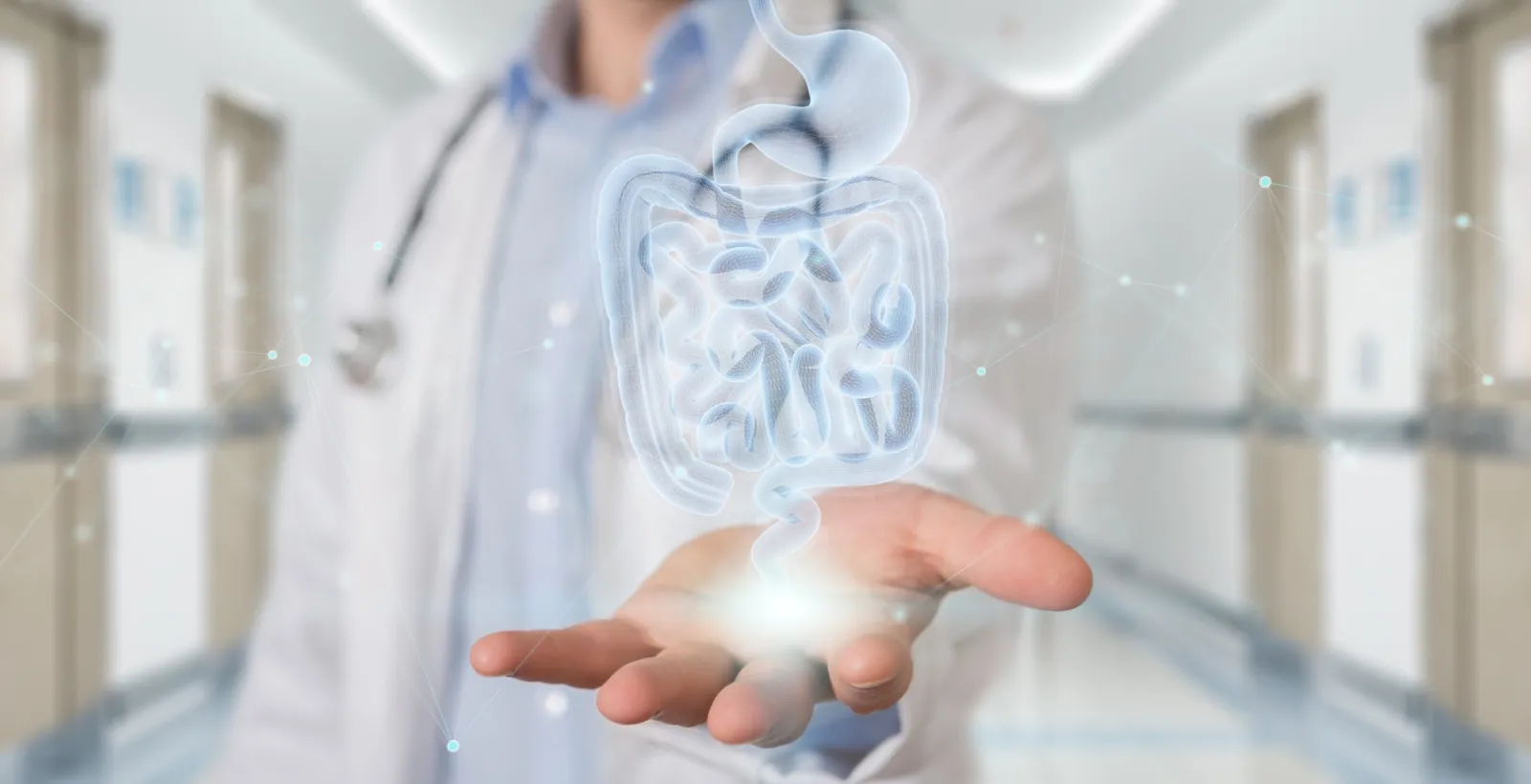 Autoimunidade, microbiota e o intestino poroso
