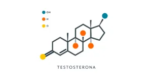 Estrutura química da testosterona com átomos coloridos — Testosterona – a hormona querida de todos