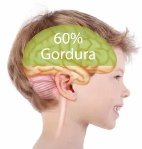 Criança com cérebro destacado e o texto «60% gordura» — Alzheimer – é possível evitar?